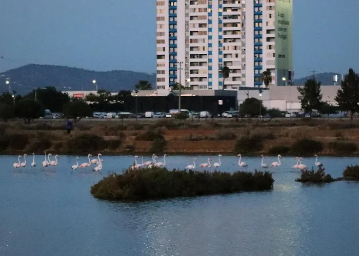 Sea View Apartment