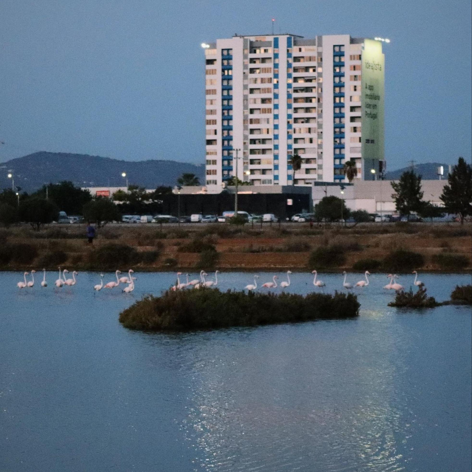 Sea View Apartamento *